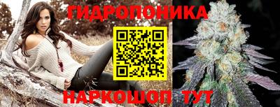 амф Коммунар
