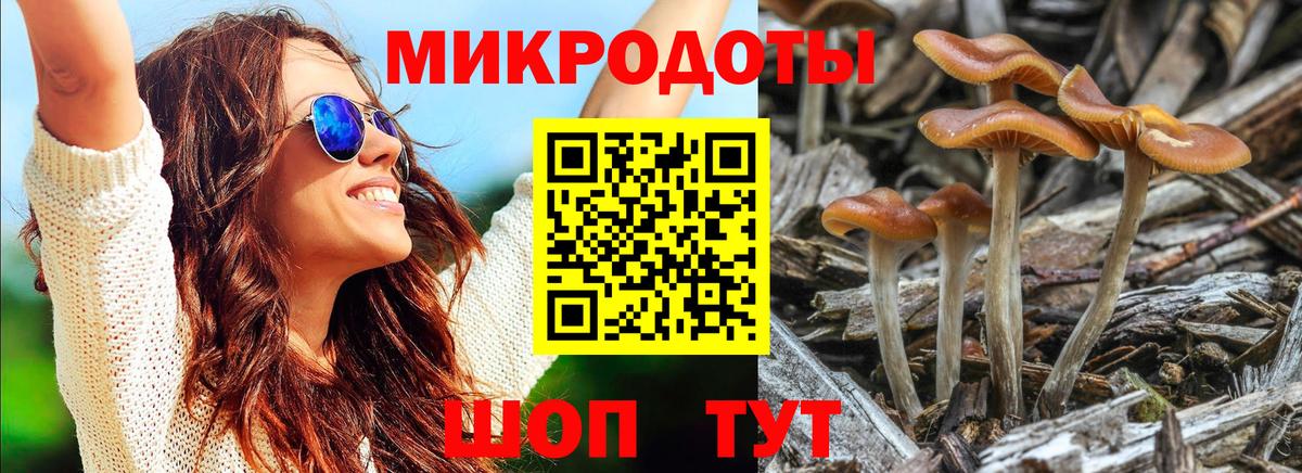 Псилоцибиновые грибы мицелий Щёкино