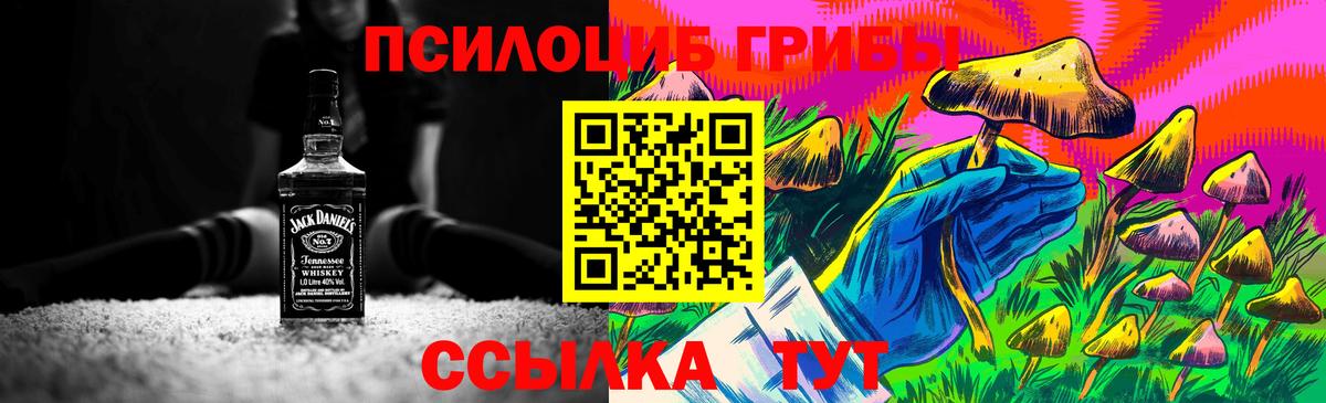 хочу наркоту  Псилоцибиновые грибы мухоморы  Вход с VPN  Щёкино 